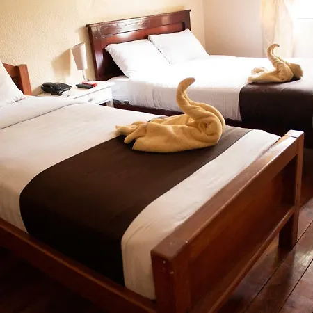 Hostal Loro Verde-2