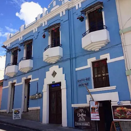 Guesthouse Nelson-3